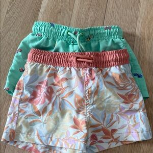 Zara Kids Floral and Mint Shorts Set